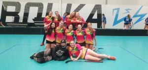 Soutěže ve florbale